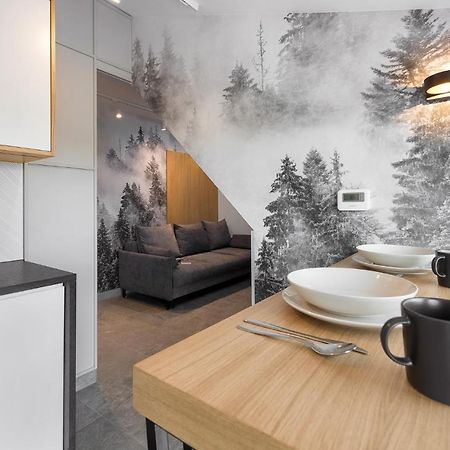 Tatra Apartament Na Jaszczurowce Ζακοπάνε Εξωτερικό φωτογραφία